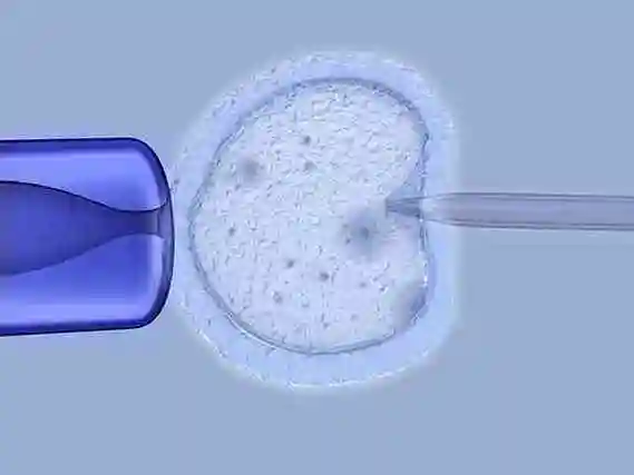 南宁当多元家庭拥抱新生命：解锁 “彩虹生子” 的温暖密码