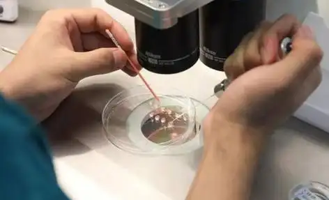 南宁打破偏见的生命礼赞：同性生子背后的爱与坚守